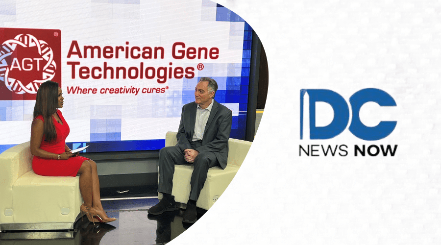 DC News Now DC News Now